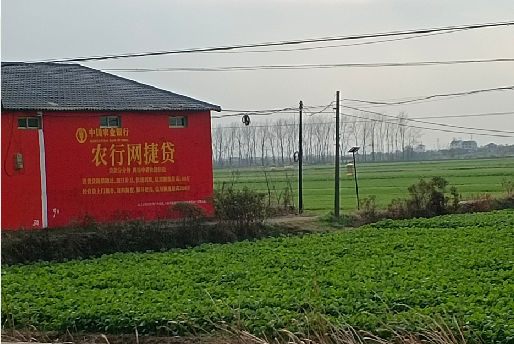 金华如何防止墙体广告褪色呢?